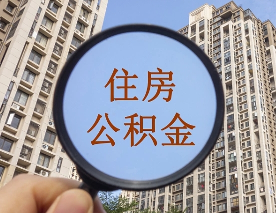鹤壁自动离职了公积金怎么提出来（自动离职住房公积金怎么取）